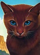 Scharfkralle (Charakter) | Warrior Cats Wiki | FANDOM powered by Wikia