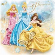 Disney Princesses - Disney Princess Photo (37082007) - Fanpop