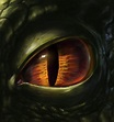 The Dragon's Eye on Behance
