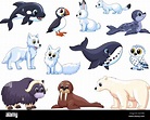 Animales del Ártico. Lobo polar de dibujos animados, tundra animal. Oso ...