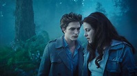 Twilight Movie HIGH RESOLUTION Stills - Twilight Series Photo (8917847 ...