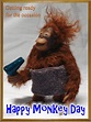 Happy-monkey GIFs - Get the best GIF on GIPHY