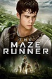The Maze Runner (2014) - Posters — The Movie Database (TMDB)