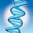 DNA Double Helix - Stock Image - C004/6962 - Science Photo Library