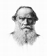 Leo Tolstoy (1828 - 1910) The Russian Drawing by Mary Evans Picture Library