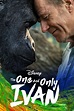 The One and Only Ivan (2020) - Posters — The Movie Database (TMDB)