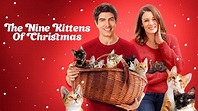 The Nine Kittens of Christmas - Hallmark Channel Movie - Where To Watch