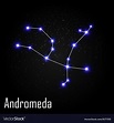 Andromeda constellation with beautiful bright Vector Image