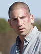 Shane Walsh | The Walking Dead (TV) Wiki | Fandom