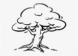 Tree Clipart Outline Pine - Cartoon Tree Black And White, HD Png ...