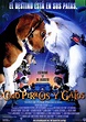 Como perros y gatos - Película 2001 - SensaCine.com