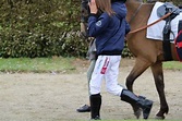 Le France Sire Poneys Cross Challenge : une grande finale animée à ...