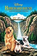 Homeward Bound: The Incredible Journey (1993) - Posters — The Movie ...