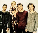 one direction,2015 - One Direction Photo (38211164) - Fanpop