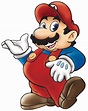 Mario | Super Mario Bros. Series Animadas Wiki | Fandom