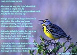 Bird Poems