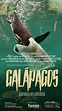 Galápagos: Paraíso en Pérdida - Película 2021 - Cine.com