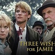 Three Wishes for Jamie - Rotten Tomatoes