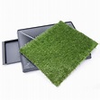 Claws & Paws Baño de Gras Sintético + Repuesto de Grass