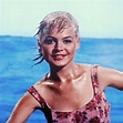 Pin on GIDGET (1959)