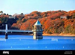 Torre de toma de agua en el lago Sayama Tokorozawa Saitama Japón ...