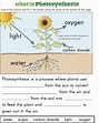Photosynthesis worksheets – Artofit