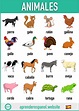 Los animales en español | Tarjetas de vocabulario en español ...