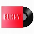 Bunny | Matthew Dear