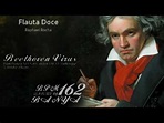 "Beethoven Virus" na flauta doce | recorder - YouTube