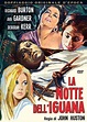La Notte Dell'Iguana (1964): Amazon.it: Burtun,Gardner,Kerr, Burtun ...