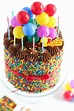 The Birthday Cake! - Sprinkle Bakes