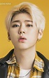Zico - Height, Age, Bio, Weight, Net Worth, Facts and Family