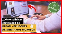 📌 SOLICITAR: Certificado de Deudores Alimentarios Morosos REDAM online ...