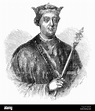 Retrato del Rey Enrique II de Inglaterra, primer rey Plantagenet ...