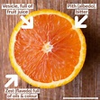 Why and When You Should Use Orange Zest Instead of Juice - FoodCrumbles