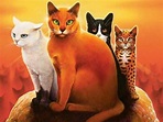 Anführer | Warrior Cats Wiki | Fandom