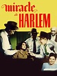 Miracle in Harlem - Where to Watch and Stream