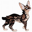 Warrior Cats Oc Ideas | articlesaboutebookselectronicbooks