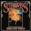Strawbs - Grave New World (CD) - Amoeba Music