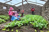 Cajamarca: Más de 3 mil campesinos se capacitan para mejorar su calidad ...
