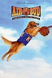 Air Bud wiki, synopsis, reviews, watch and download