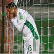 Algerian star, Bedrane ruled out of Super Eagles friendly - Daily Post ...