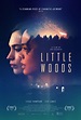 Little Woods - Seriebox