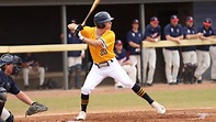 Mason Williams - 2024 - Baseball - Averett University Athletics