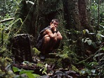 Bruno Manser - le défenseur de la forêt tropicale