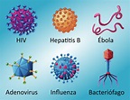 ¿Qué es un Virus? Definición y Características - Aprendí Hoy...