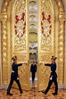 Open the door to Europe: Gold doors of the Kremlin