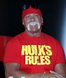 Hulk Hogan Archive - Daily Dish