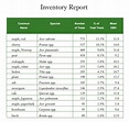 7+ Inventory Report Templates | Sample Templates