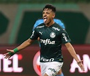 Os 10 melhores jogadores do Palmeiras na temporada de 2020